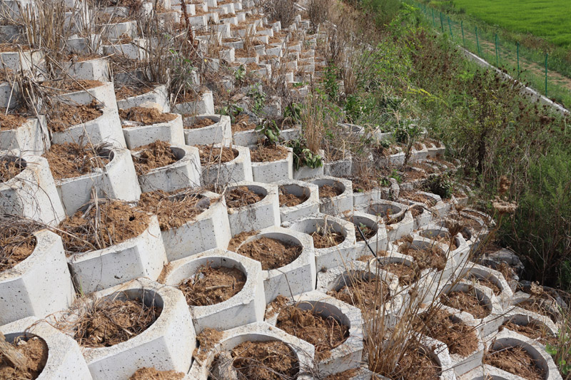 坡改平生態(tài)護(hù)坡磚